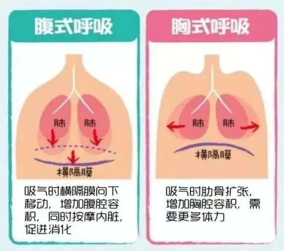 产后妈妈为何要做腹式呼吸运动？