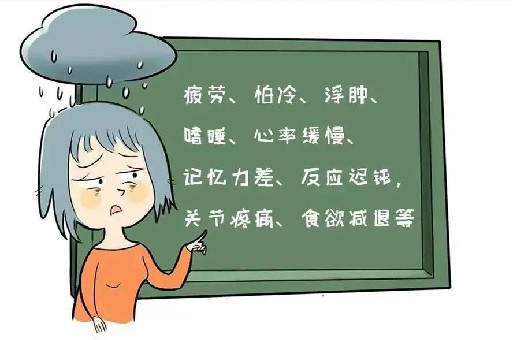 成都甲状腺医院：为什么女性易患甲状腺疾病？